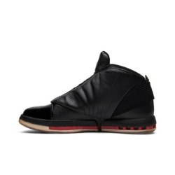Air Jordan 16 Retro Prune Mûre