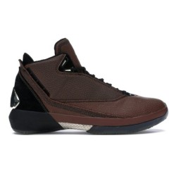Air Jordan 22 Retro Vachetta Tan